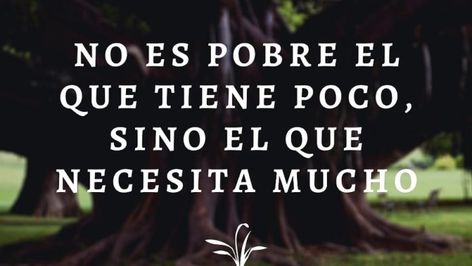 Y por esto agradezco cada día. Mis comodidades las vengo trabajando y poco a poco se irán consolidando.
Feliz día.
#Cachocrates #Motivation #Motivacion