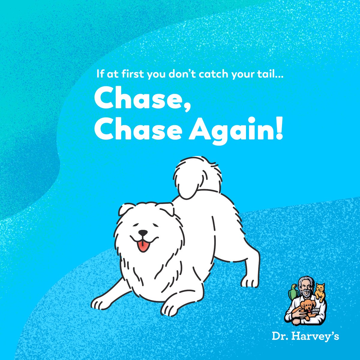 drharvey's tweet image. #DogGoals 🐾 💯 Fuel their day with our healthy, whole food nutrition and all natural supplements.  #deepdogthoughts #drharveysdogs #dogmemes #activedog #seniordog #dognutrition #caninehealth