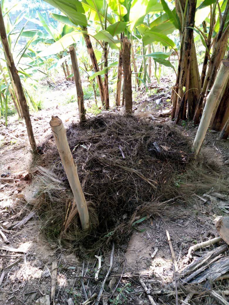 agriresearchclb's tweet image. &quot;We make living by what we get, but we make life by what we give&quot;. Yesterday @agriresearchclb president @123Iraguha has visited a farmer in @GakenkeDistrict where he trained him about #wormcomposting (vermicompost) and he gave him #earthworms to help in decomposition continuously
