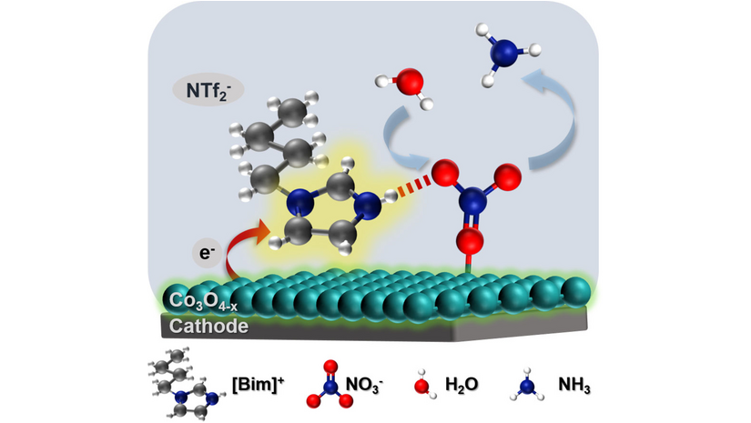 angew_chem's tweet image. Enhanced Electrochemical Nitrate-to-Ammonia Performance of Cobalt Oxide by Protic #IonicLiquid Modification (Suojiang Zhang and co-workers) onlinelibrary.wiley.com/doi/10.1002/an…