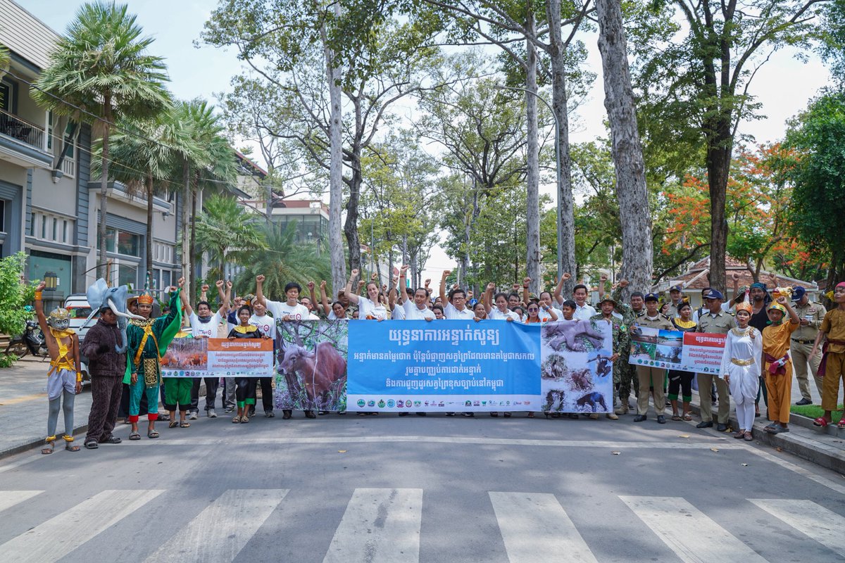 pheaktraneth's tweet photo. #Zerosnaring campaign in #SiemReap to eradicate the snares and illegal huntings in #Cambodia’ protected areas. Cambodia is conducting zero snaring campaign since March 2022 to provide safe habitat to #wildlife, #biodiversity https://t.co/2aj7XHoDkb