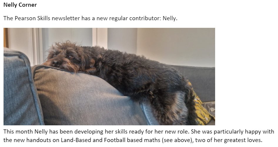 Pearson's Skills Newsletter has a new regular contributor: Nelly.

Nelly is a 3 year old poodle-border collie mix and, as you can see, is insanely happy to be promoted to this role.

#Pearson
#ESOL
#FunctionalSkills
#EDSQ
#FEmaths
#EnglishFE
#Apprenticeships