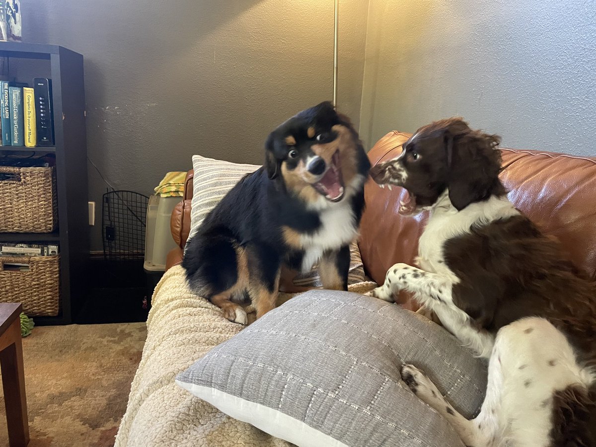 lindsay 🏳️‍🌈 tweet media