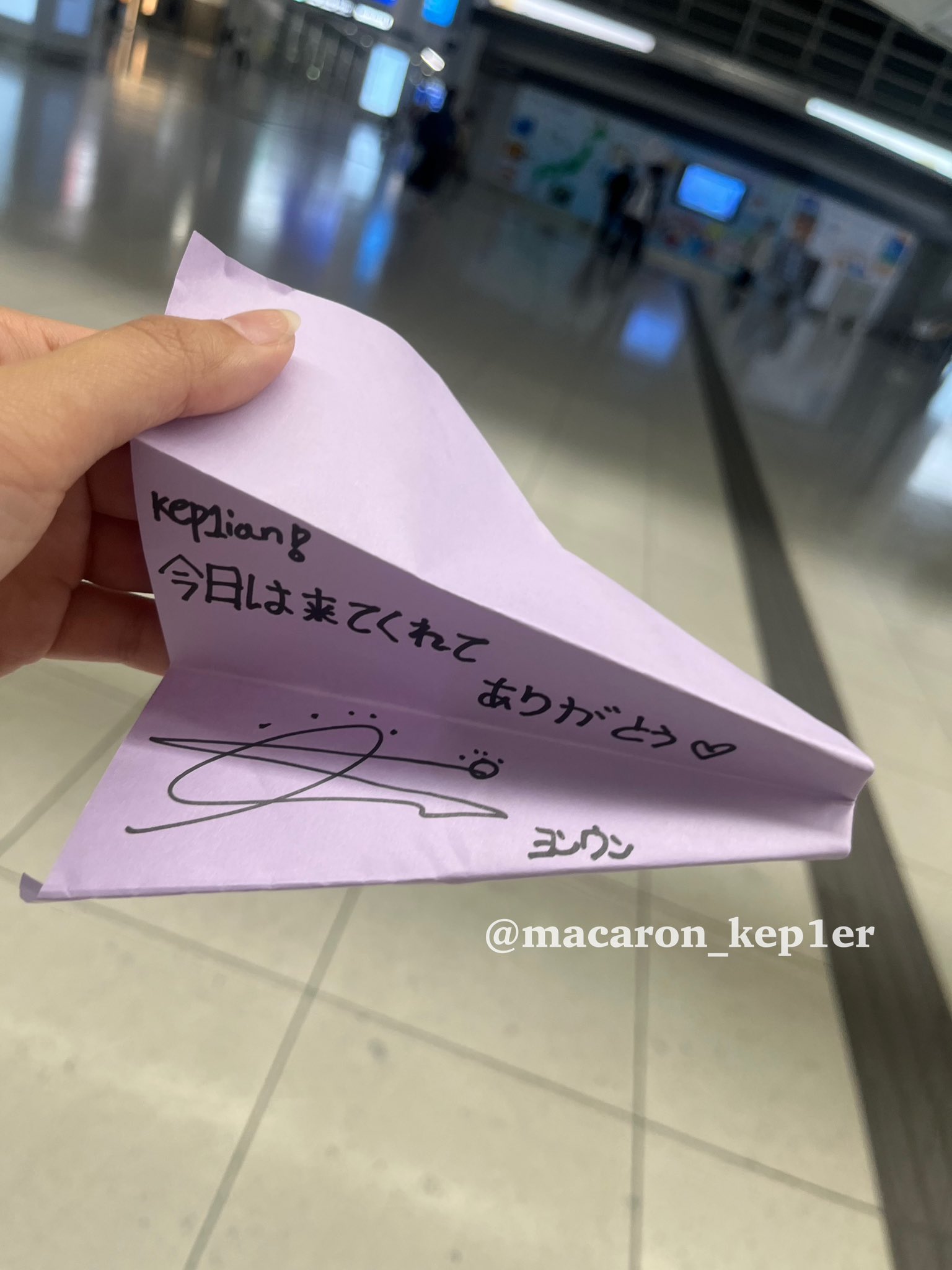 あのカップとお揃いの湯呑セット 小田和正 【公式通販】