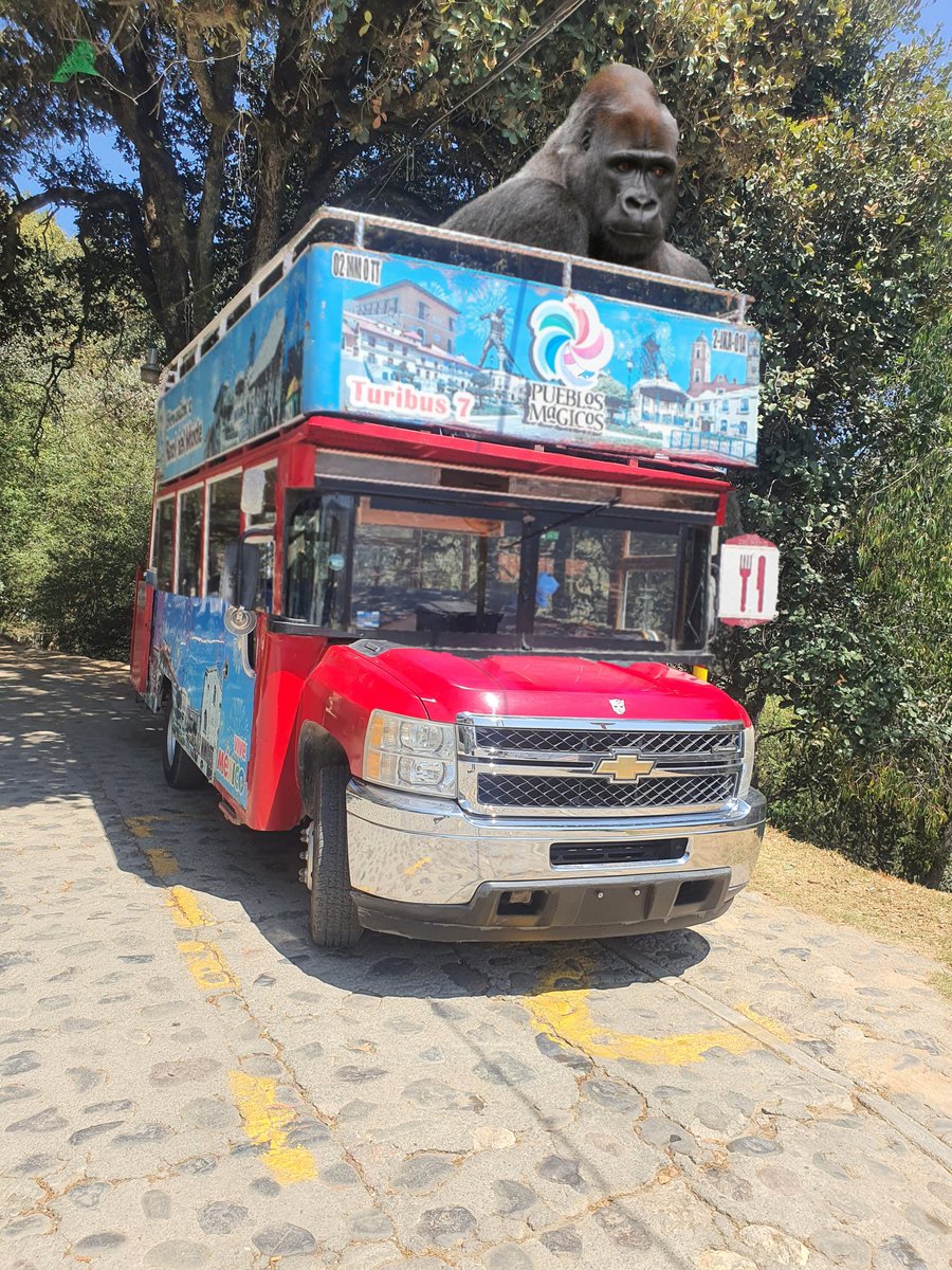 TuribusRealdelMonte tweet media