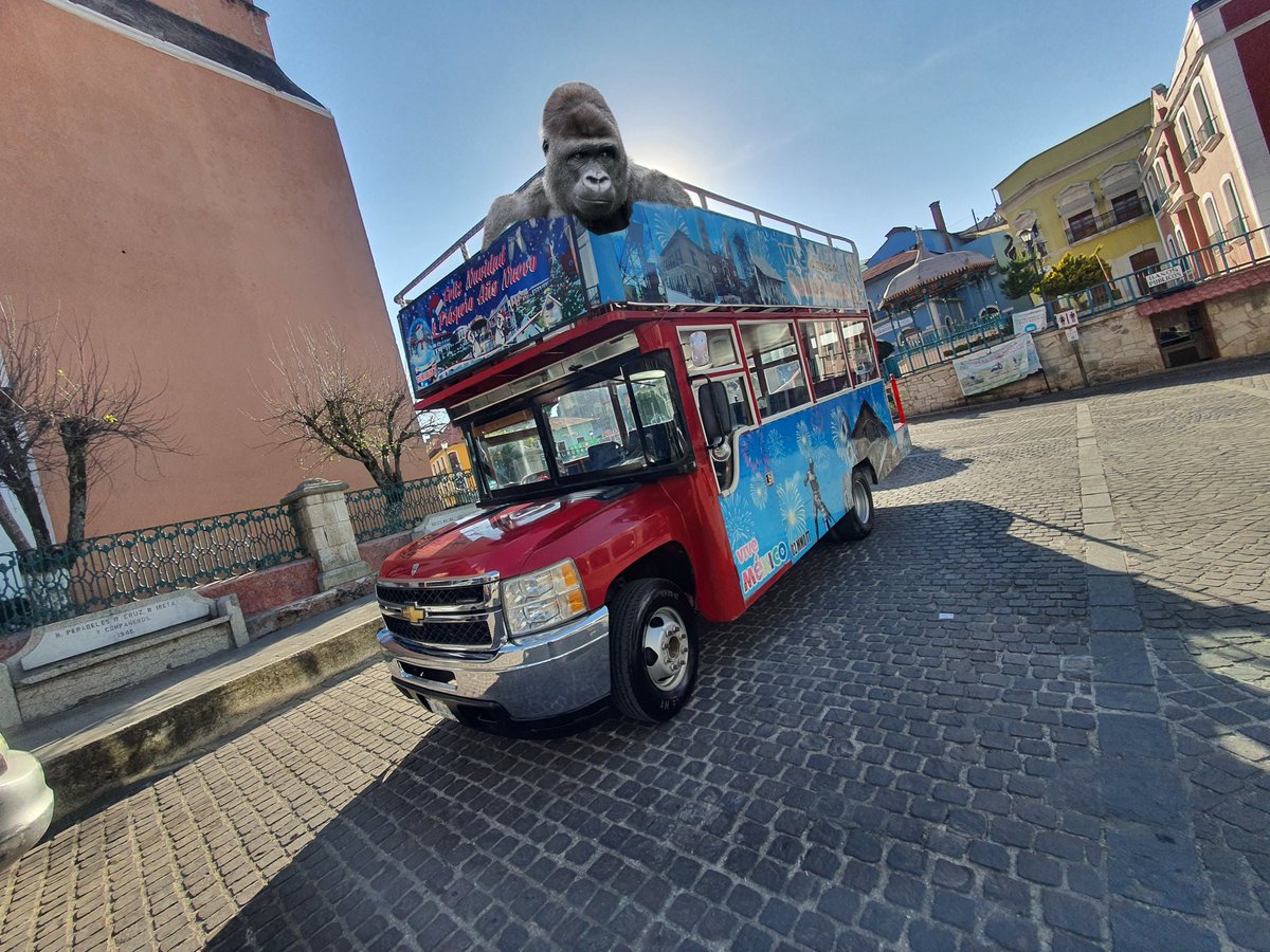 TuribusRealdelMonte tweet media