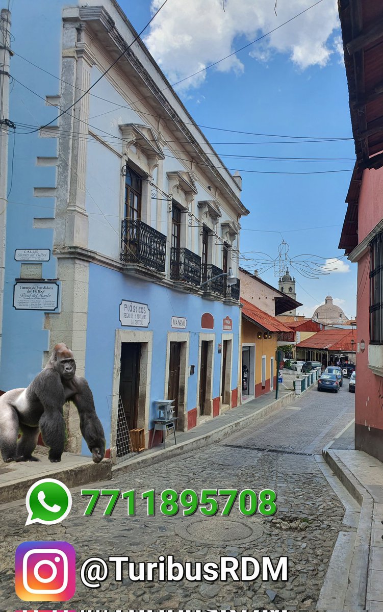 TuribusRealdelMonte tweet media