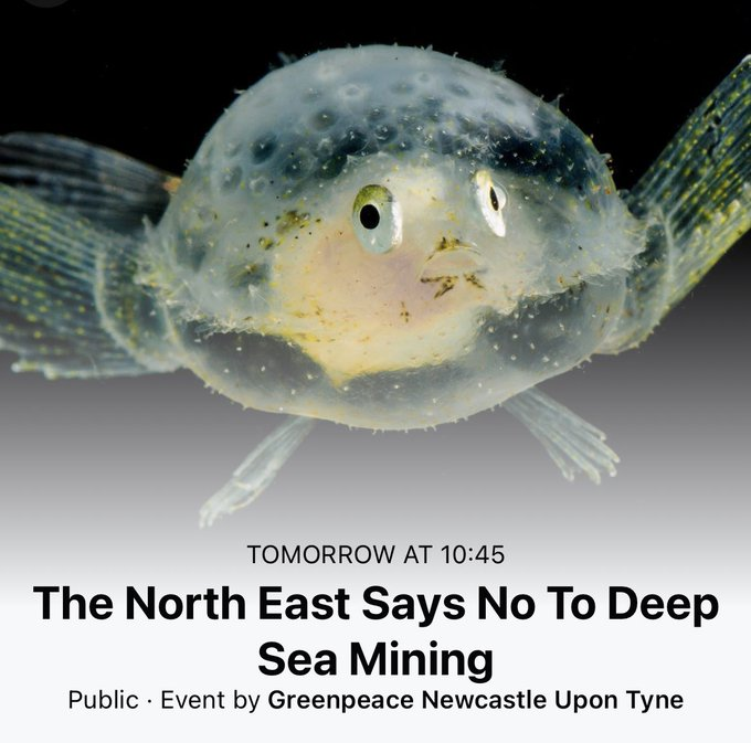 Come and see us today at King Edwards Bay, Tynemouth at 10:45.  The North East says NO! to Deep Sea Mining
#Newcastle #Tynemouth