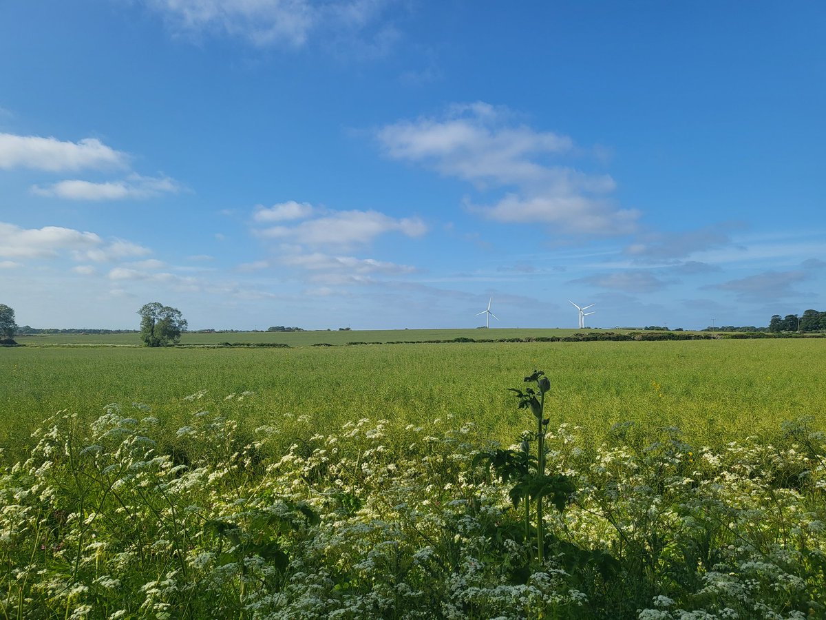 This is what we play for. This is why we play. Gods own county. Tomorrow my fellow crusaders and I set foot in a swamp to slay Lancashire scum, not in the name of GAF, not in our own name, but in name of Yorkshire. My northern brothers, keep her safe. On Sunday we return as kings