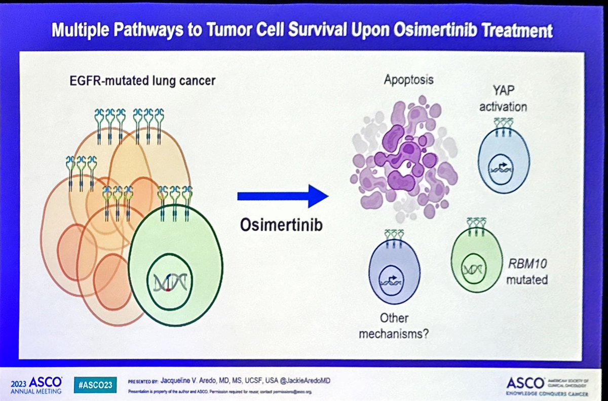 Stephen V Liu, MD tweet media