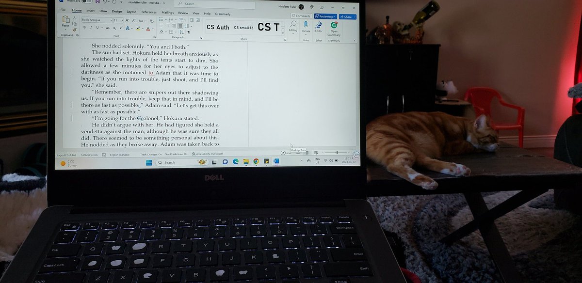 NicoletteFuller's tweet image. Going through edits with Hobbes (I'm nearly there!) New Age: Meridiana will be in my publisher's inbox this weekend!