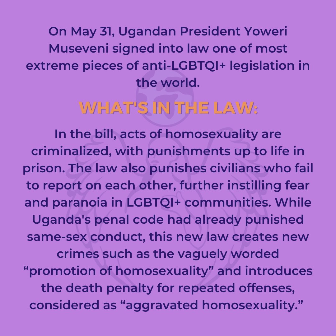 TRANS ASYLIAS tweet media