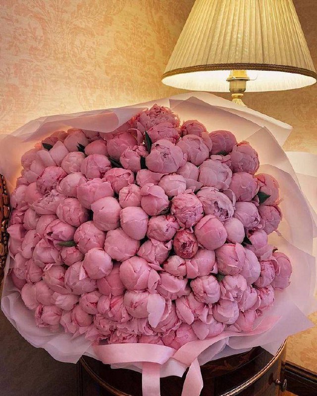 1Qafal's tweet photo. Pink peonies 🌸 https://t.co/3h1cIlLmSf