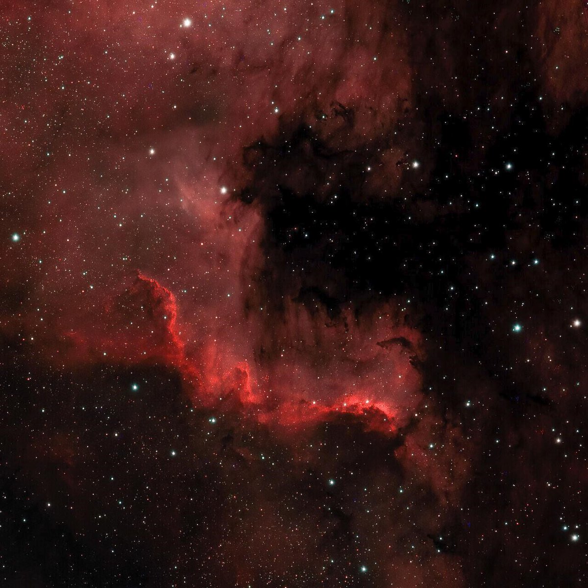 Cygnus Wall Portion of North America Nebula [by joeshabadoo72] #astronomy #astrophotography