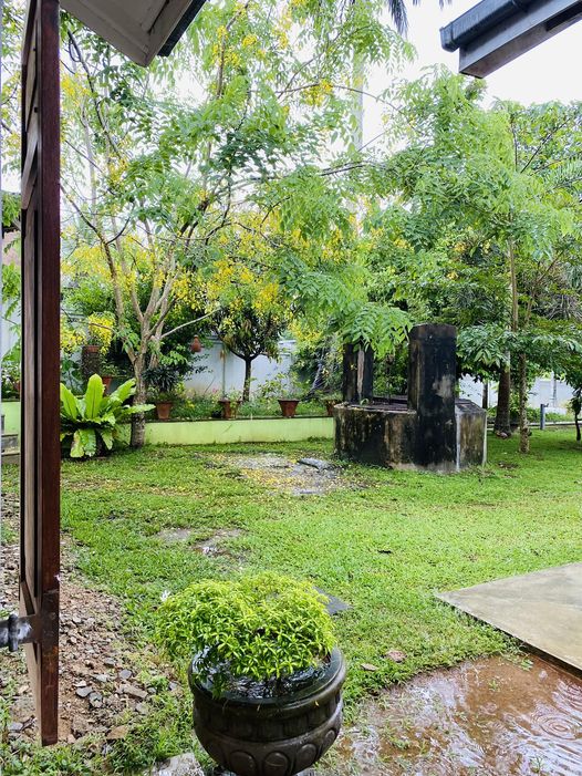 🌿📷 Appreciating the wonders of nature! Take a glimpse into the breathtaking garden view captured by Supun Gamini from Southern Sri Lanka 🇱🇰. 🪴✨ #WindowView #NatureLovers #GardenParadise #SriLankanBeauty #WorldWindowViews #SereneScenes 🌏🖼️✨