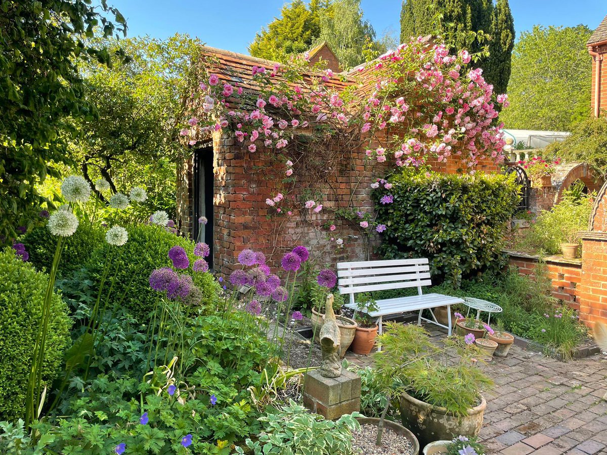 wharfhousegrdnr's tweet photo. Our favourite views in the garden right now. #gardening #GardenersWorld #garden https://t.co/eGYFSxFkKo