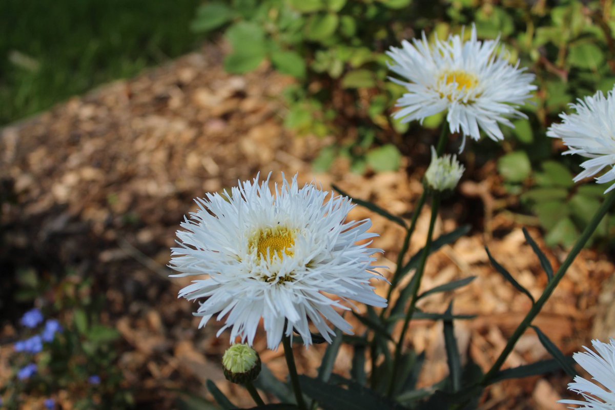 Did you know we’ve officially been open for the season for a MONTH?! 

If you haven’t made your trip out to The Gardens yet, stop by! We can’t wait to see you. There’s something for everyone around every bend 💐