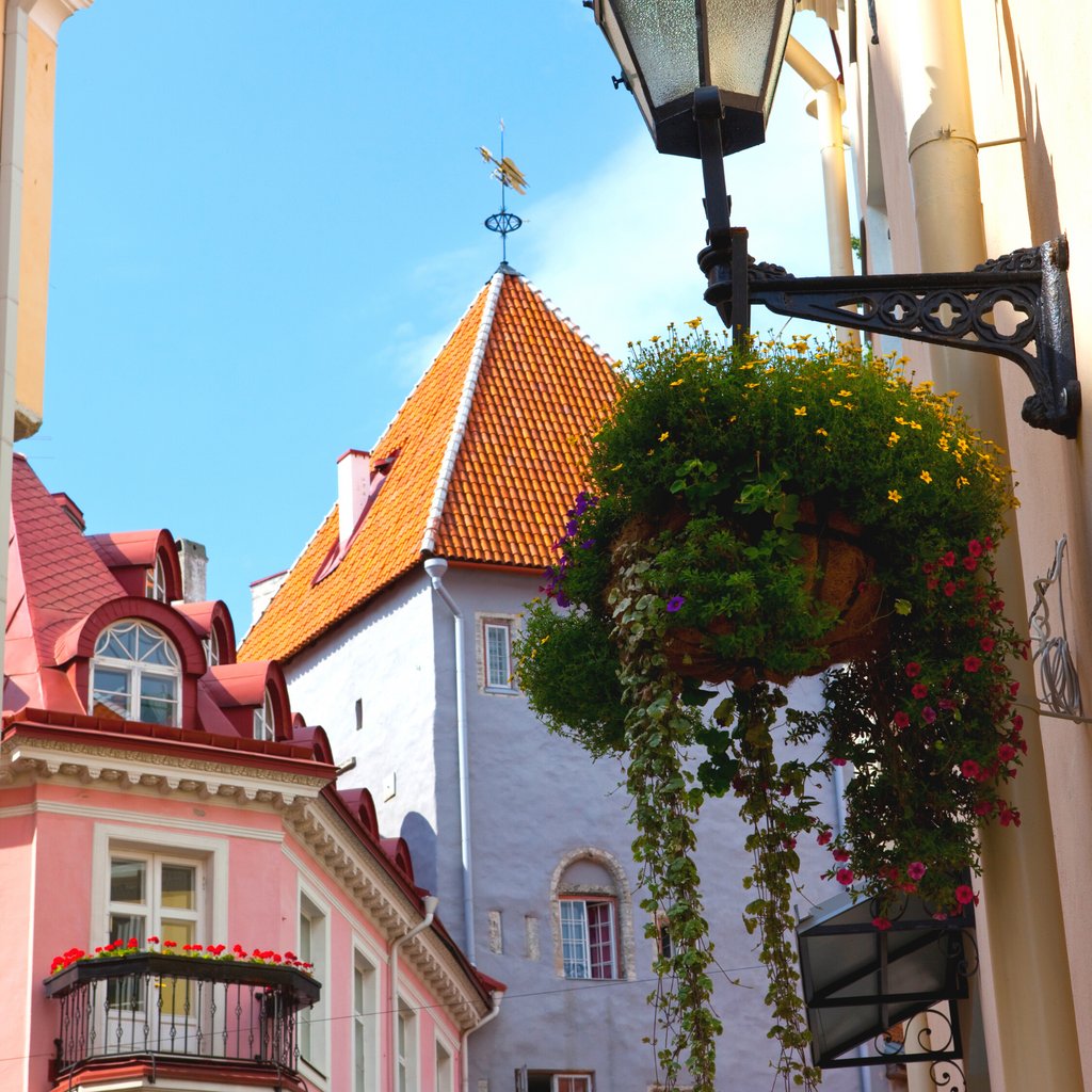 hackerparadise's tweet image. #TALLINN #ESTONIA | Fairytale Europe - with a modern edge!💫

The city that’s as much a progressive trailblazer as it is a charming &amp;amp; historic wonder. Come work &amp;amp; explore from this dreamy place with a group of badass remote workers from around the world 👉🏽 bit.ly/HP_Tallinn