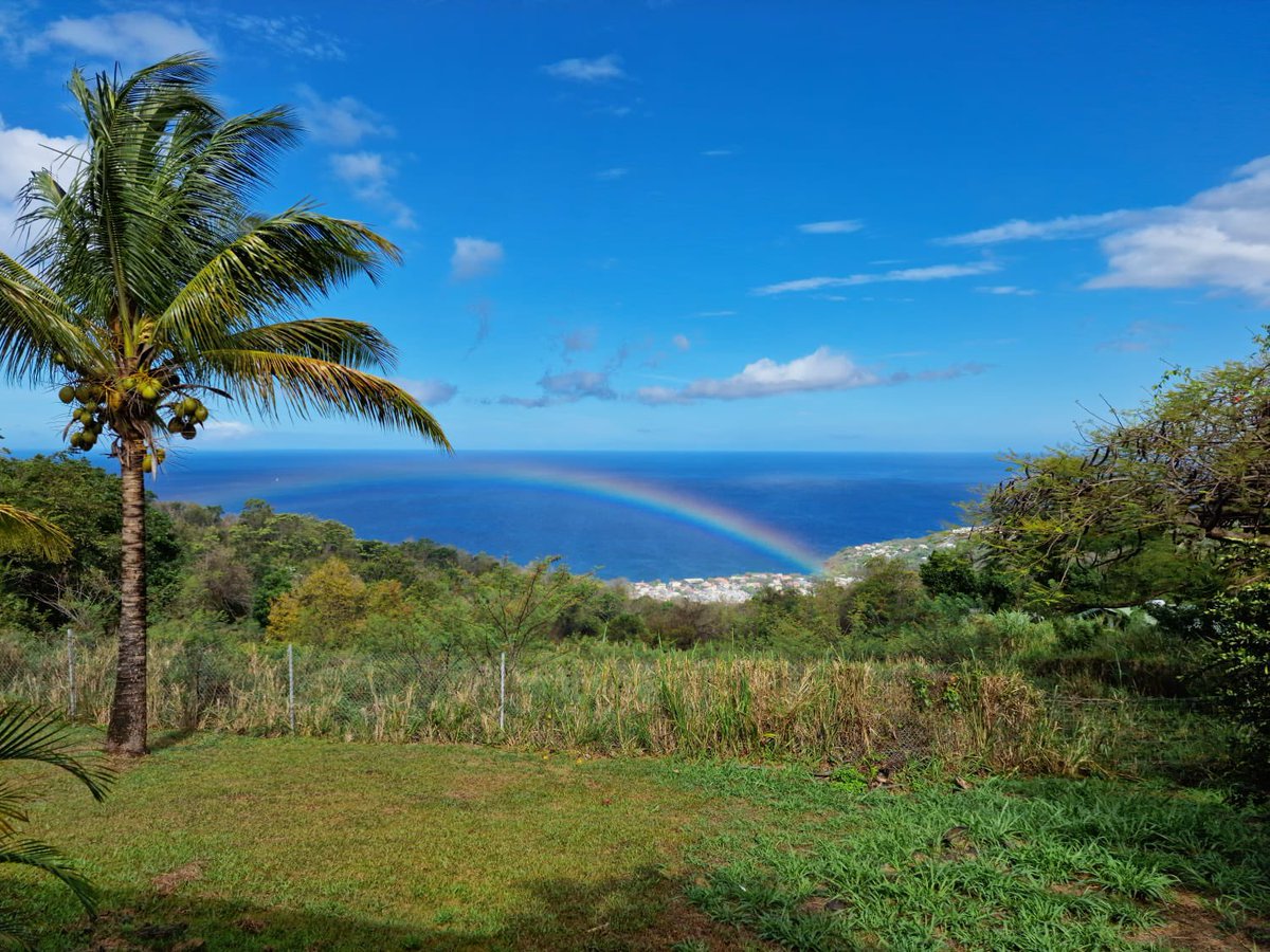 It really is a paradise when we film #deathinparadise