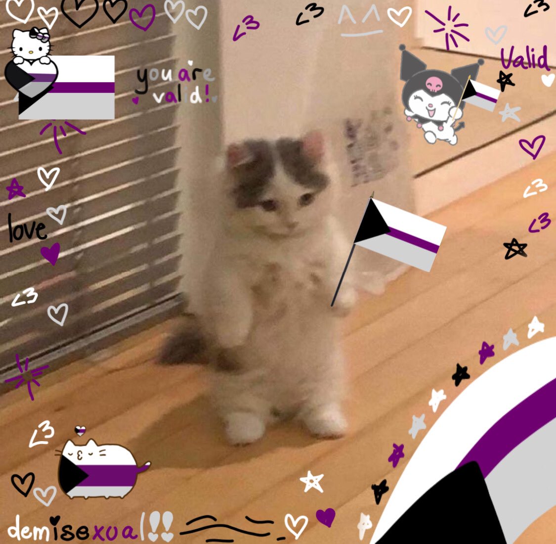 楊𝗧omas PAI DO ANO (@hyunonsqd) on Twitter photo 