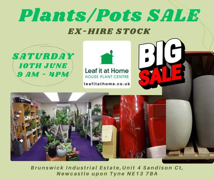 leafitstore's tweet photo. Our first event was a great success! So we are holding another on Saturday 10th June, 9am - 4pm. Don't miss a Big SALE of our ex hire plants and pots. 🪴 Choose from a large selection of different sizes shapes and colour pots. 😀
https://t.co/yLD8WandTF

#newcastle #nefollowers https://t.co/nsbWMdn9HZ