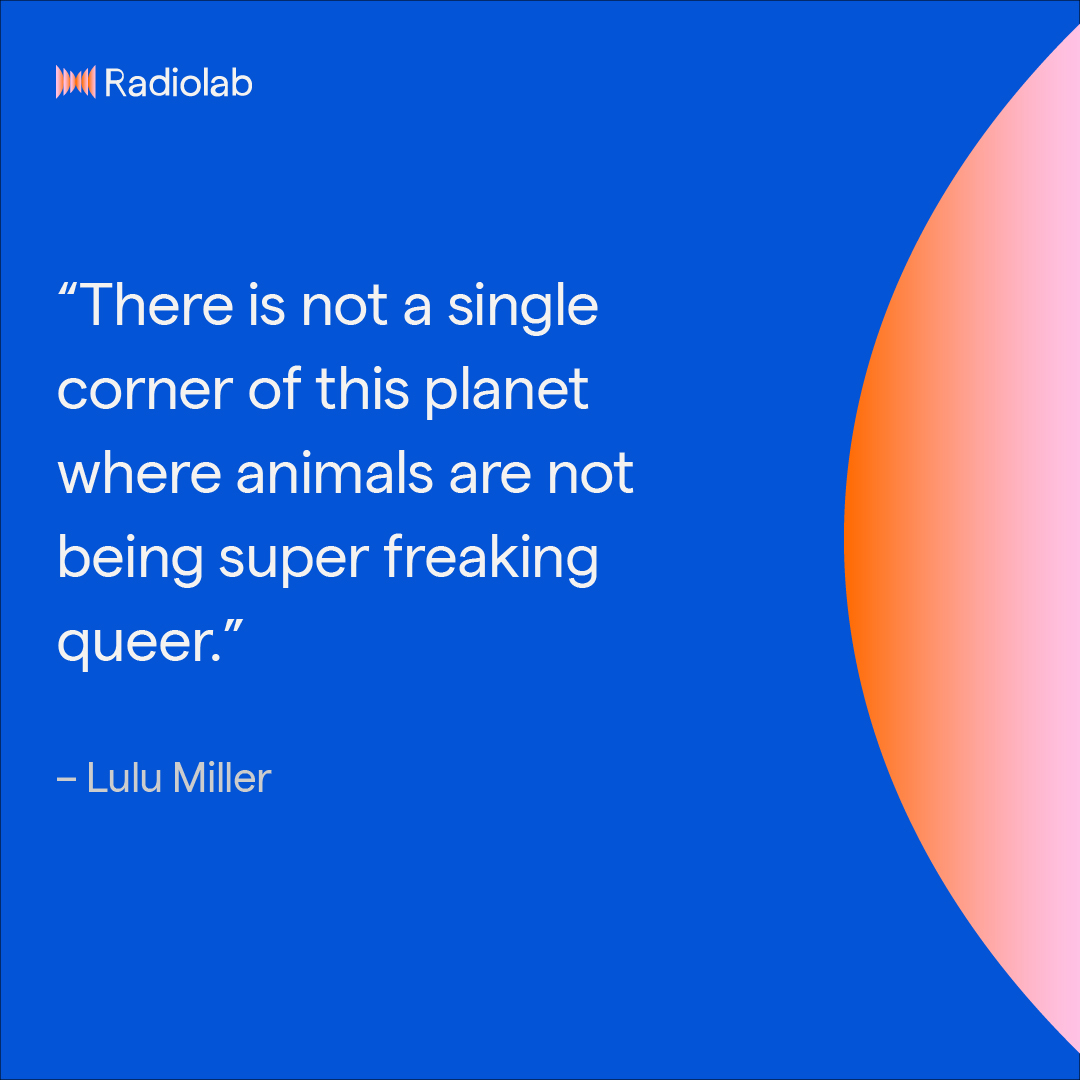 Eliot Schrefer 🌈 (EliotSchrefer) / Twitter