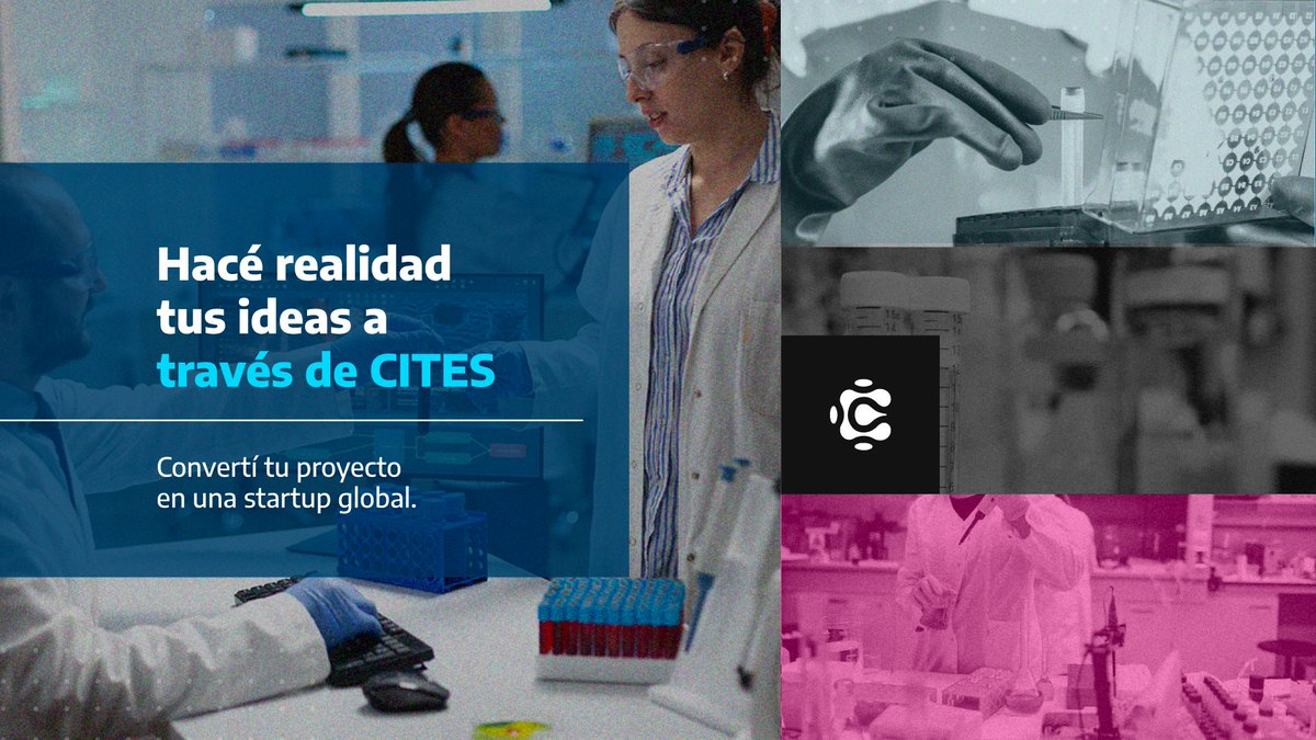 En #CITES invertimos en startups en fases tempranas para impulsar la tecnología del futuro. ¡Te ayudamos a que tu idea innovadora cambie el mundo!

#DeepTech #Innovación #StartUps