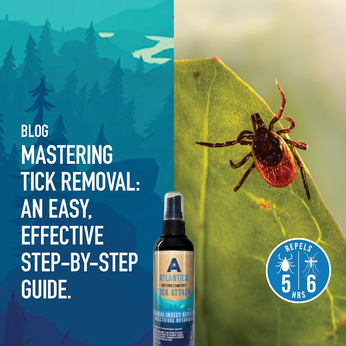 Summer’s almost here, which means it’s time to brush up on the best and simplest way to remove a tick. Check out our Step-by-Step Tick Removal Guide to make sure you’re aware of the techniques and tools you’ll need if you’re required to remove a tick. bit.ly/45LNo5w