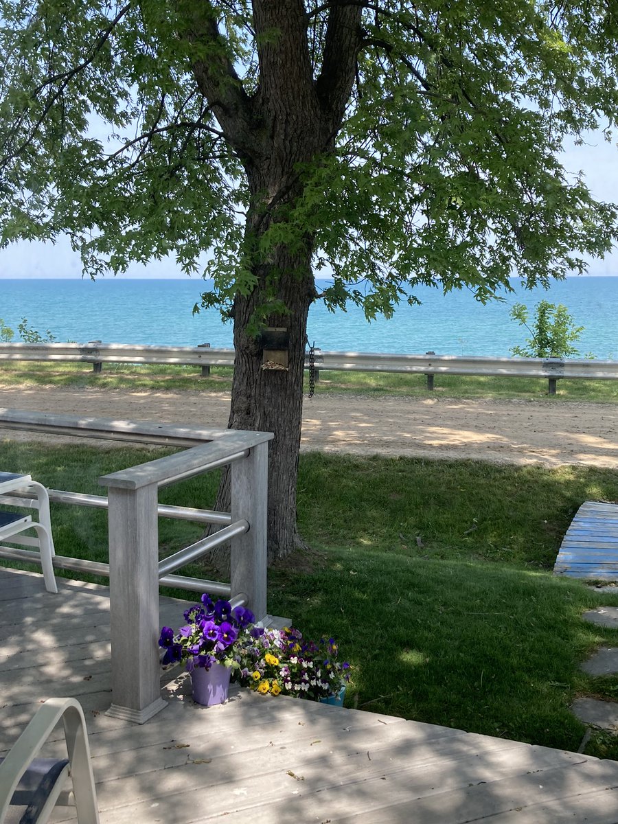 Looking out my front door on this perfect Michigan day!  #LakeHuron
