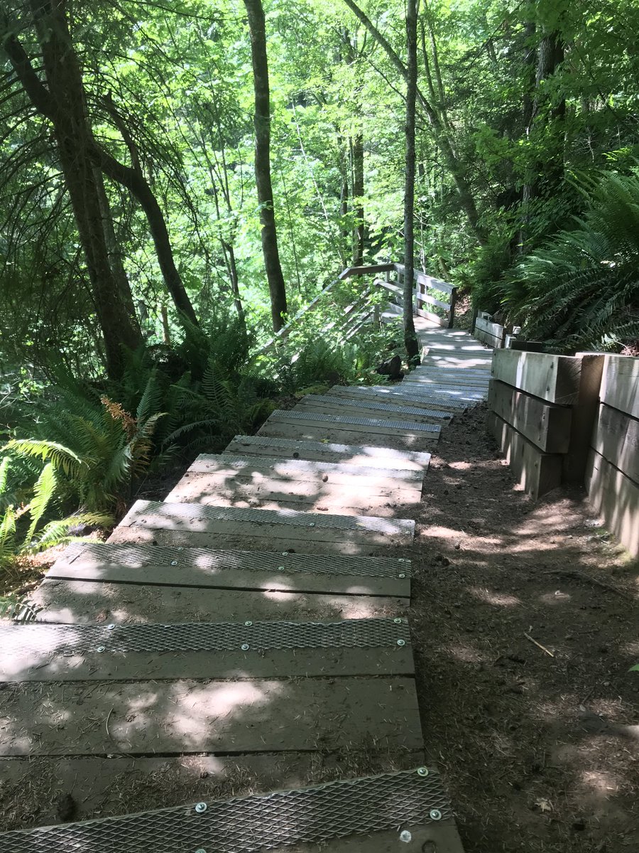 StairMaster: Fresh Air Edition. 
Looking back…revision of self harm;) self care… 
(Only 2 small bits of foil snack packaging on the trail.) 
Natural, industrial, boardwalk, bridge, stairs, water, dogs on leash,
2 person wide or solo, active, stay alert 🐾
#CanyonTrail #BC