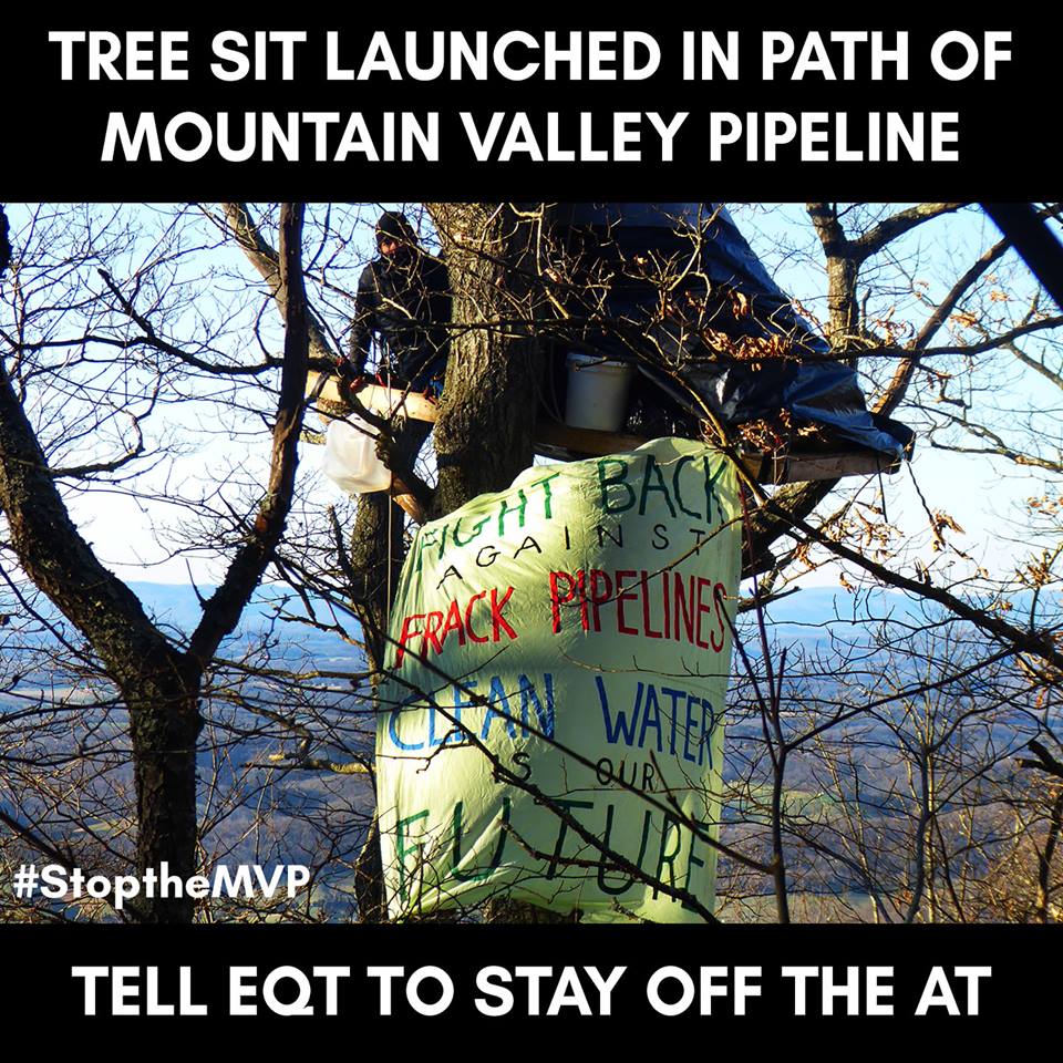 geoyapti's tweet photo. Locally and nationally those of us who chose to #StandWithRed and supported #YellowFinch @stopthemvp are still here today in the #NoMVP struggle. 

Our numbers of supporters grow each and every day. We will stop Mountain Valley Pipeline.  #StrandedAssets https://t.co/nmMD3wdi2q