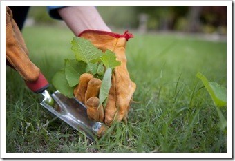 AdvancedChirop's tweet photo. Chiropractic Care and Avoiding Back Pain During Springtime Activities - https://t.co/RdntjjFlns https://t.co/Htk6tBtEWo
