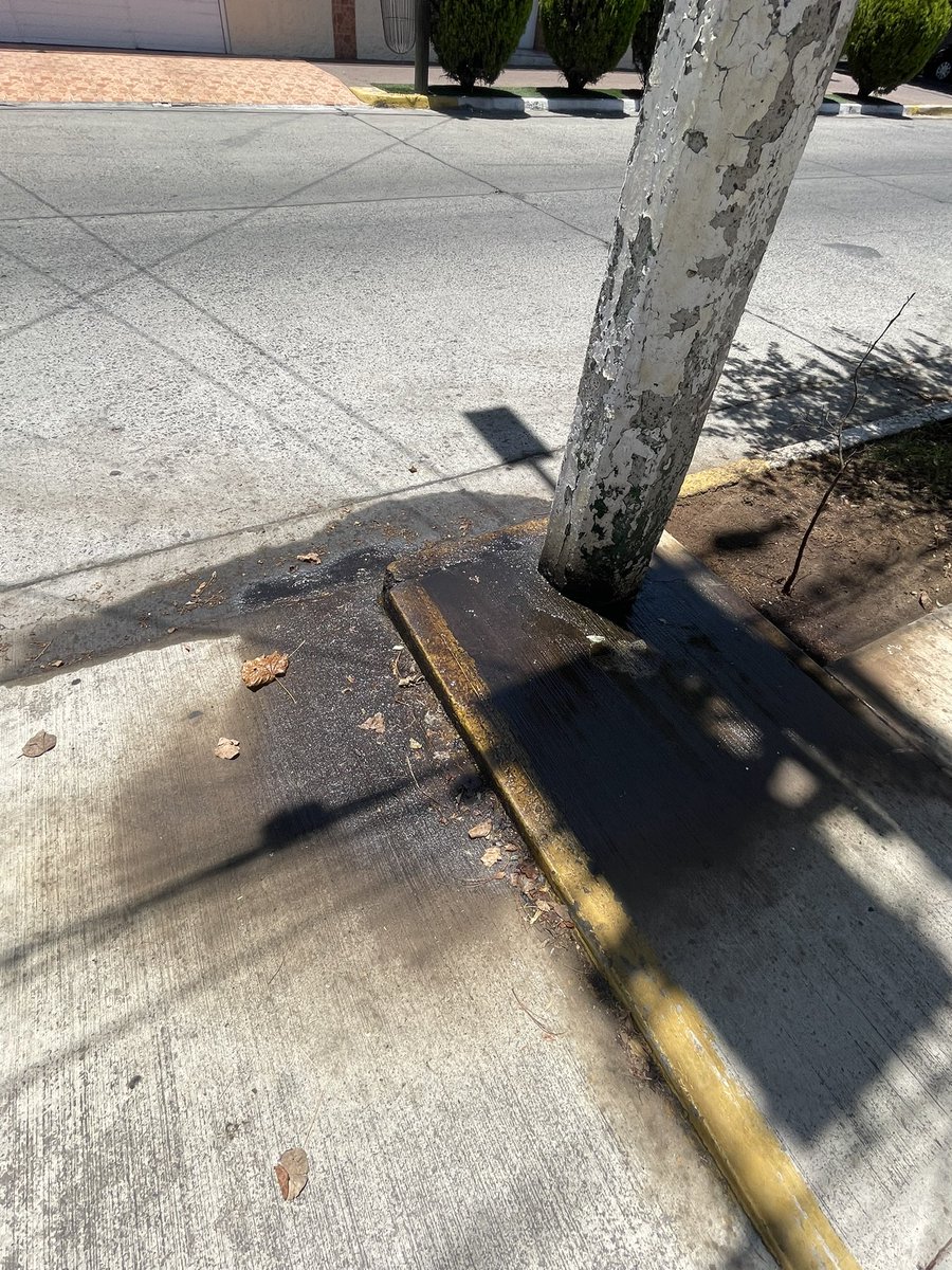 hruizfe's tweet photo. @UMPCyBZ Transformador de CFE en riesgo para peatones, van varios reportes y no se atiende desde hace 2 meses daños en banqueta  arbolado y jardinería ubicación Victor Hugo a 1.5 cuadra de Naciones Unidas zapopan https://t.co/aekfjpMSqK