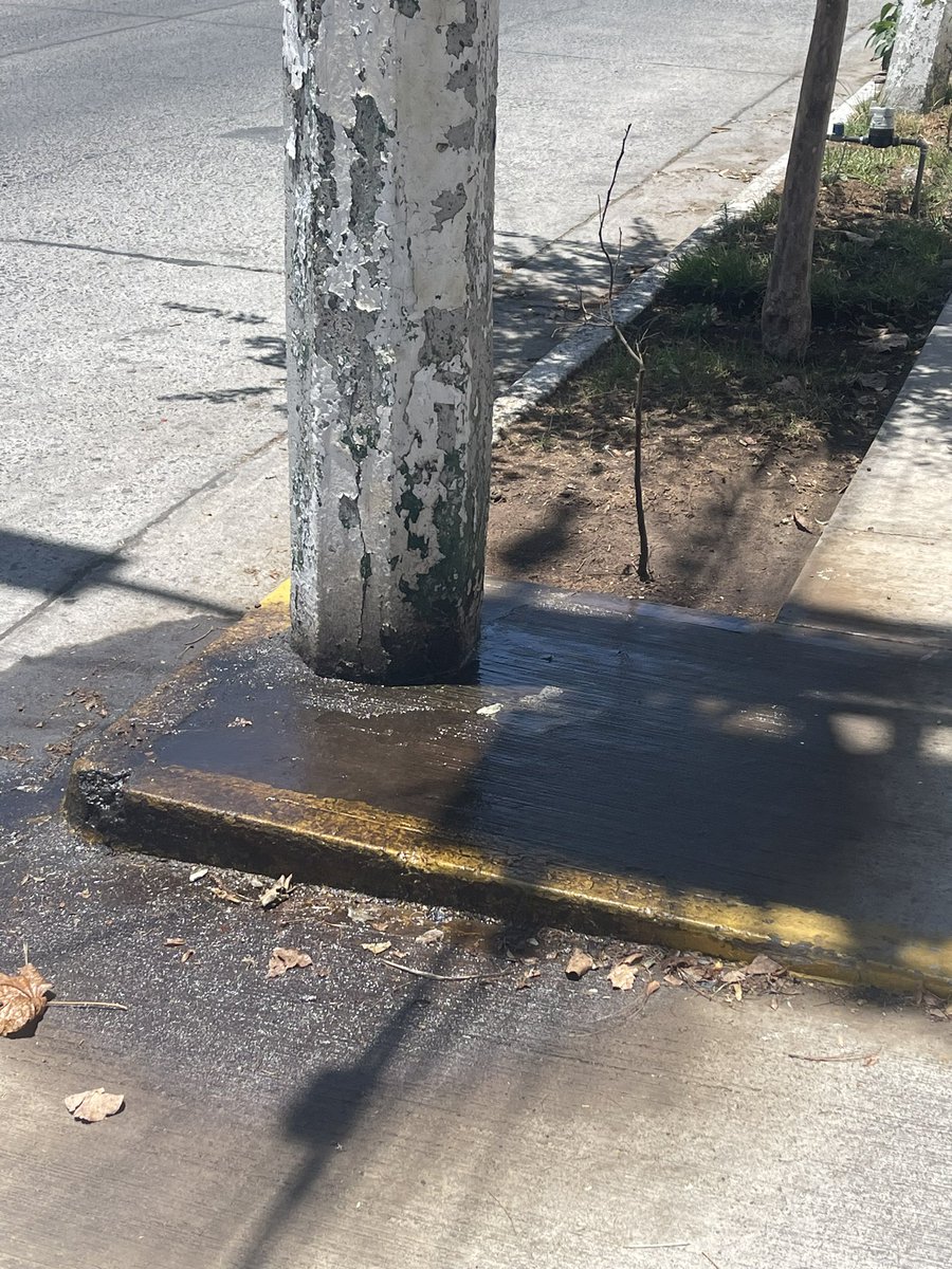 hruizfe's tweet photo. @UMPCyBZ Transformador de CFE en riesgo para peatones, van varios reportes y no se atiende desde hace 2 meses daños en banqueta  arbolado y jardinería ubicación Victor Hugo a 1.5 cuadra de Naciones Unidas zapopan https://t.co/aekfjpMSqK