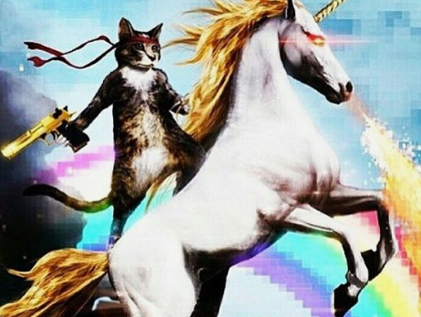 DoopieCash's tweet image. Friday...les gooo! 

#partyhard