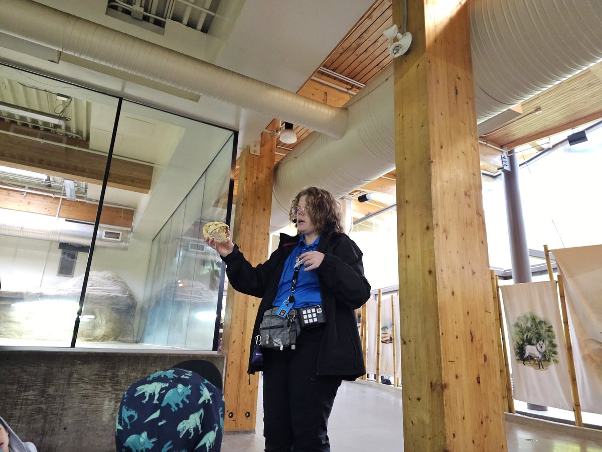 Mrs. Leung-Chow's Grade 1 Class tweet media