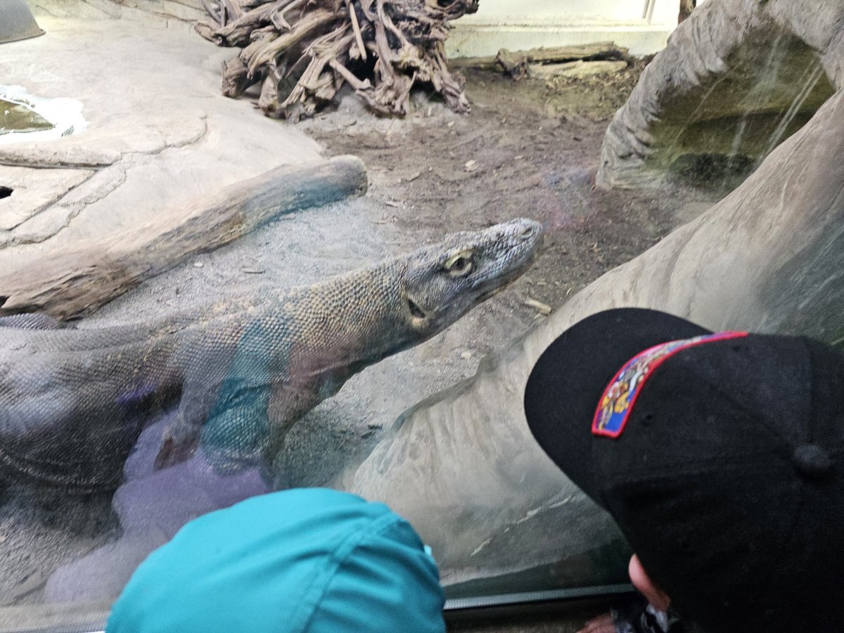 Mrs. Leung-Chow's Grade 1 Class tweet media