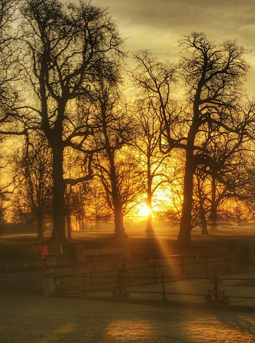Early #morning walks in Kensington #Gardens , London.

#cold #mist #light #sunshine #garden #nature #park #trees #beautiful #world #london #walking #explore #photo #photography #photooftheday #royalparks