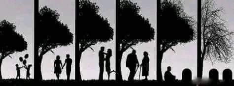 ضع عنوان مناسب للصورة شعراً أو نثراً.

من صغر سنّي انا اخترتك حبيب
أنت حبّك مبتدأ وَ انا الخبر

جعلك عن عيون خلك ما تغيب
معك انا من الحياه إلى القبر

#بندر_بن_حمود_المانعي