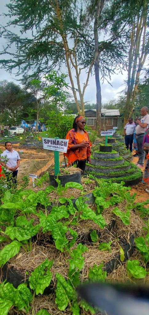 hivosroea's tweet photo. Women in Laikipia taking a leap in faith in empowerment opportunities in farming. They give us hope to food security and improved livelihoods in the community. @GVNJoshuaIrungu 
#LaikipiaRWCC
#womenempowerment 
#agroecology https://t.co/R0UbplGocS