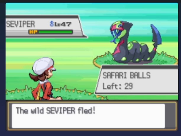 First casualty of #safariweek2023
Third year in a row of hunting for this seviper 🐍