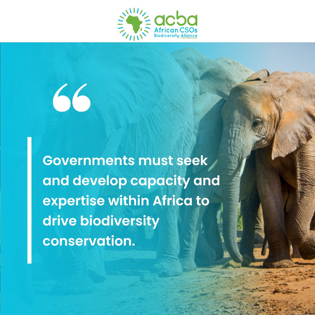 One of our key messages in our closing statement with @CsosAfrican at the @AfricanUnion meeting in Addis today was to encourage African governments to look for expertise and capacity on the continent for biodiversity conservation needs. Africa's got skills that we must tap into!