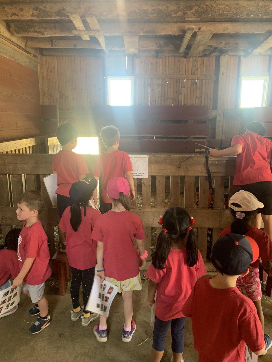 Kindergarten students had the BEST time yesterday on our Maybury Farm Field Trip!!! ☀️💛 Thank you, Maybury farm!
<a href="/SLCSDolsen/">Dolsen Elementary</a>