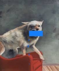 Games of the Week this Sunday as your Yotes take on <a href="/TCMABLTrueBlue/">TCMABL True Blue</a>. Woodridge Park 10 am and 12 pm