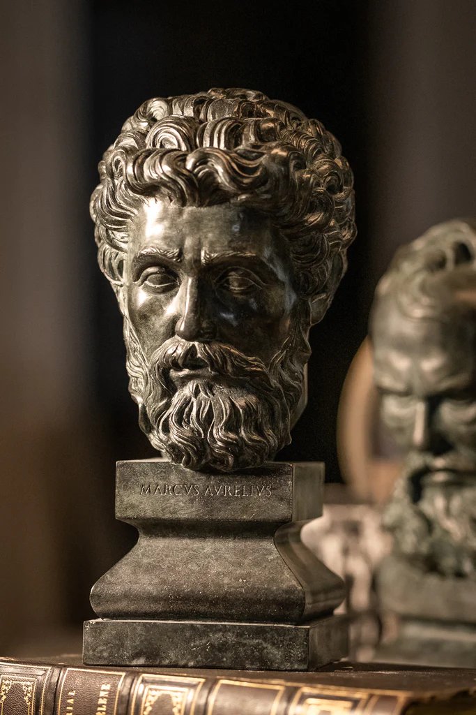 ANTES ERA DÉBIL, hasta que aprendí eso.
4 PRINCIPIOS ESTOÍTICOS que te harán imparable :

REGLA NÚMERO 1: La adversidad forja el carácter.
"El universo es indiferente a nuestra existencia" - Marco Aurelio.