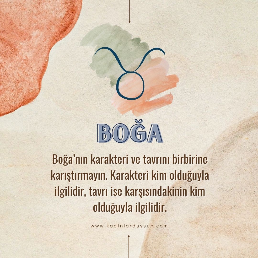 bogaburc's tweet photo. https://t.co/ulgYpzZ69L