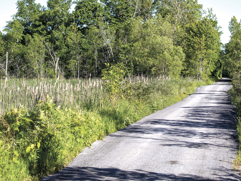 Council says no to commercial use on Millennium Trail
wellingtontimes.ca/no-to-trail-to…