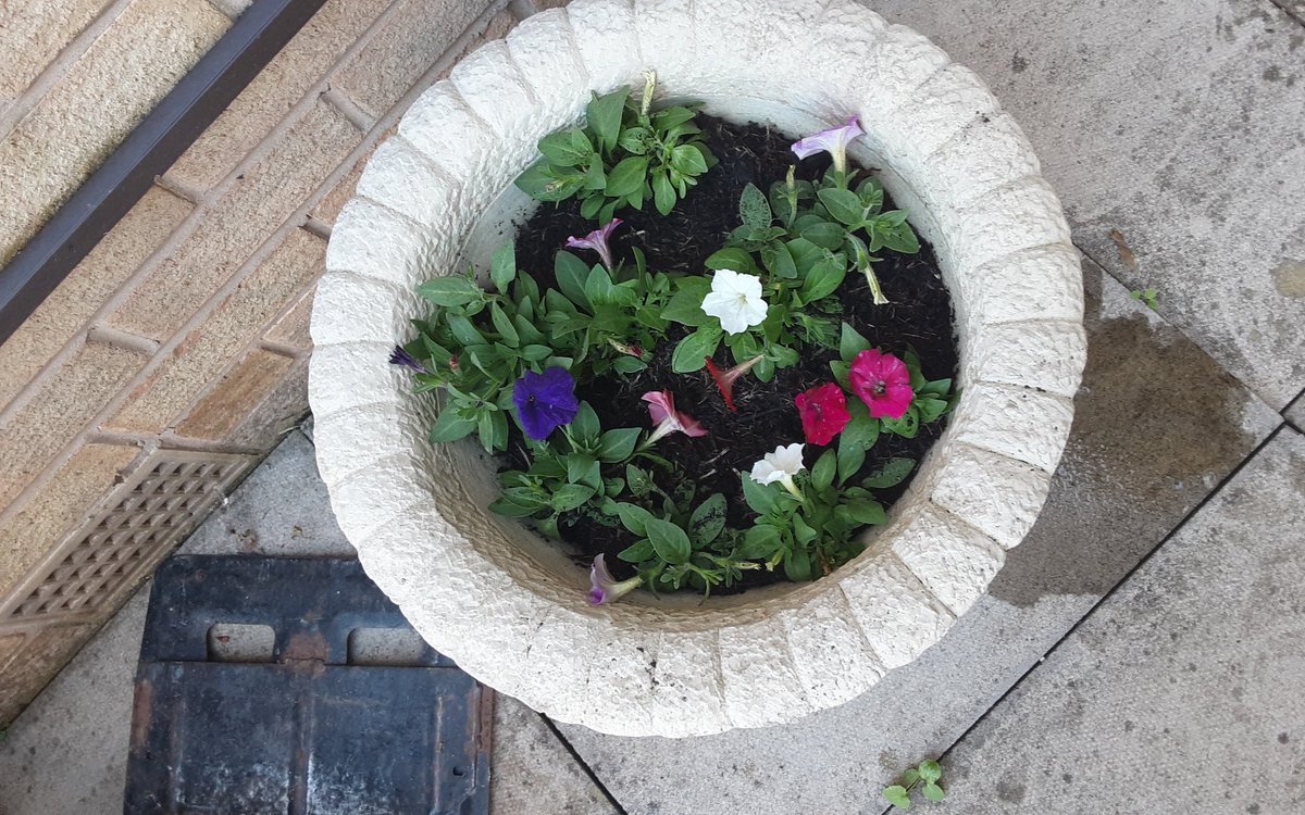 Prior_Bank's tweet photo. 🌞 suns shining and our residents are doing some gardening 💛 https://t.co/KHcwsNZdjN