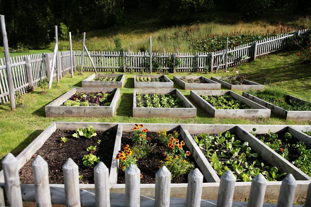 What would you grow if you had all this space to grow your own food?

#cbelite #coldwellbanker #realestate #welcomehome #wisconsinrealestate #weloveouragents #weloveourclients facebook.com/55063020835420…