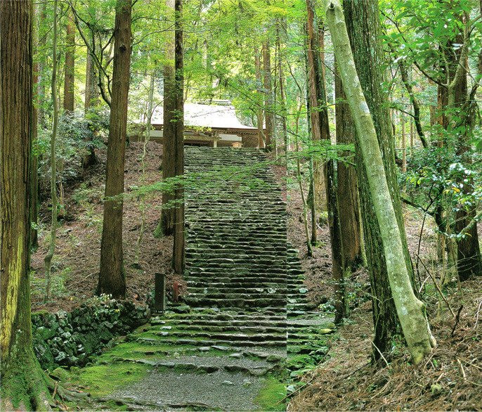 Desperation is the raw material of drastic change. 
Only those who can leave behind everything they have ever believed in can hope to escape. 

William S. Burroughs 

Kozan-ji Temple stands in a mountain forest. 
Kyoto Japan